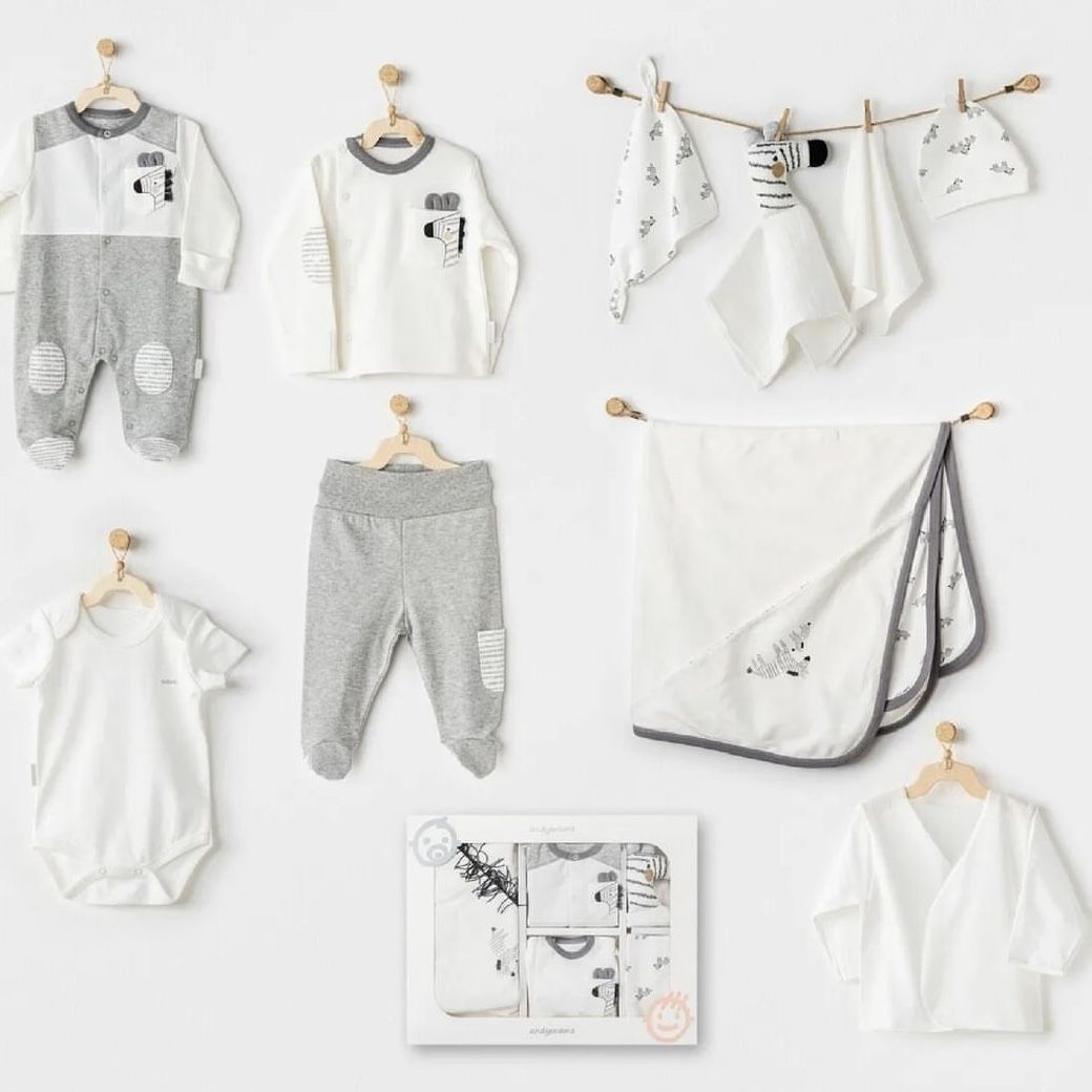 Zebra Detaylı Hastane Çıkışı- 10 Parça